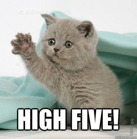 Image result for internet high five cat