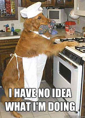 Image result for dog chef meme