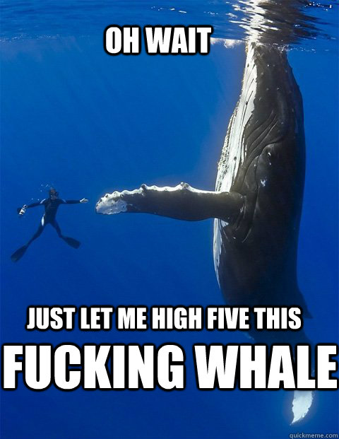 Fucking Whale 43
