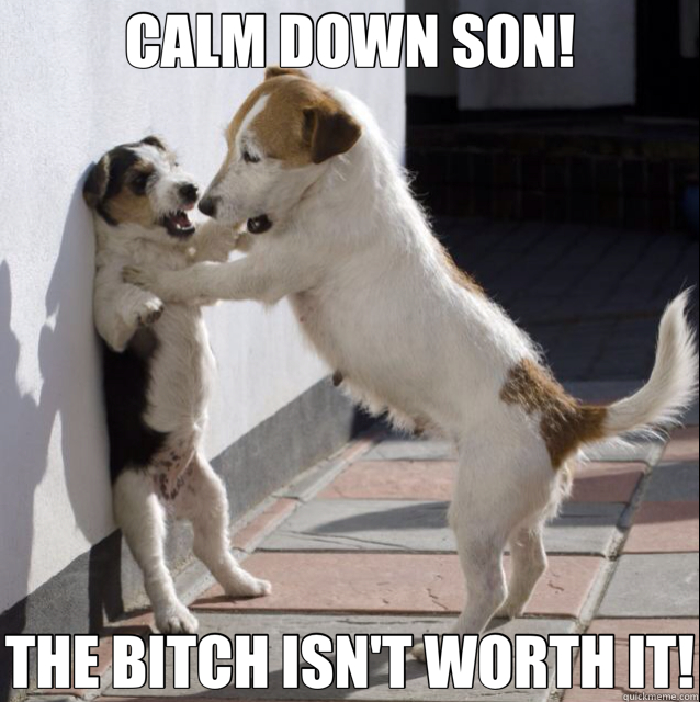 Image result for calm down son the bitch isn't worth it meme