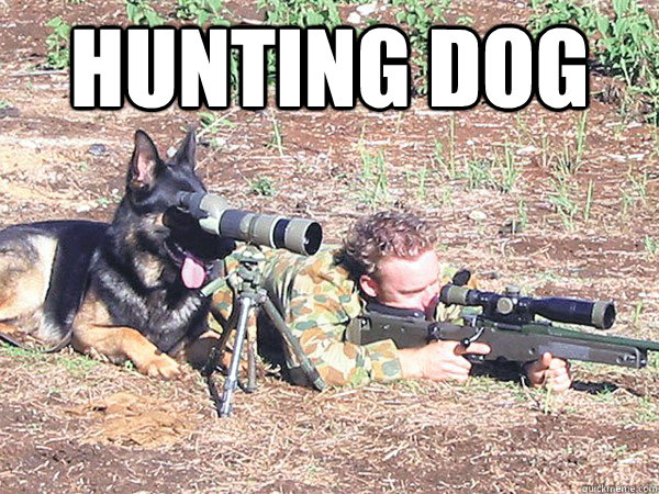 hunting dog memes | quickmeme