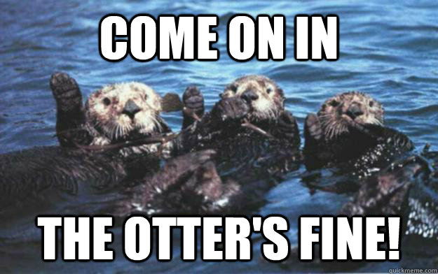 What are some otter jokes?