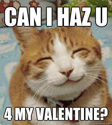 Image result for cat valentine memes