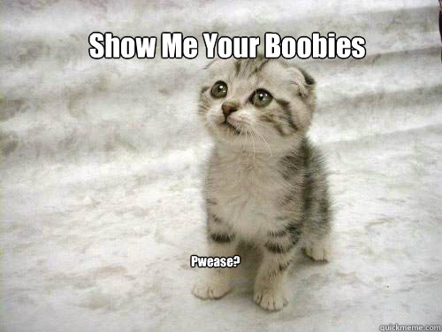 Show Me Your Boobies Pwease? - Begging Cat meme - quickmeme