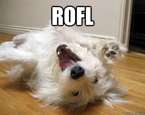 rofl  - rofl   ROFL Dog