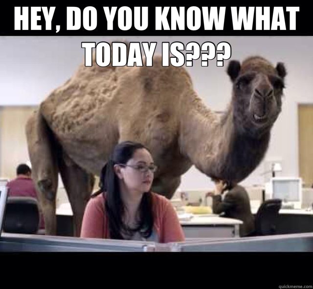 HEY, DO YOU KNOW WHAT TODAY IS???   hump day