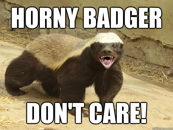 Image result for Horny badger