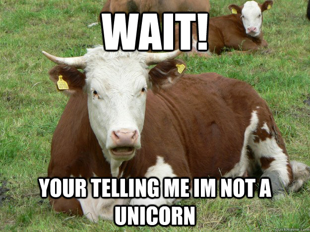 16 Hilarious Cow Memes Design Press