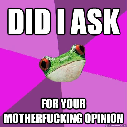 Did I ask For your motherfucking opinion - Did I ask For your motherfucking opinion  Foul Bachelorette Frog