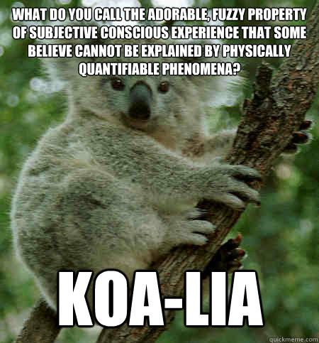 What do you call the adorable, fuzzy property of subjective conscious experience that some believe cannot be explained by physically quantifiable phenomena? Koa-lia  Property Dualism Puns