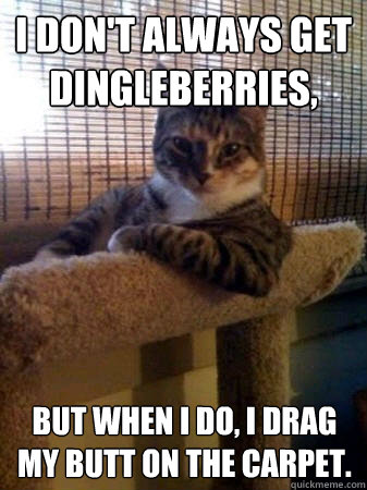 Image result for funny dingleberry pics