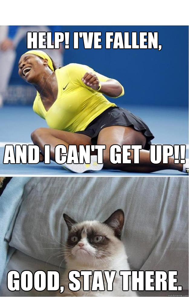 Grumpy Life Alert Cat memes | quickmeme