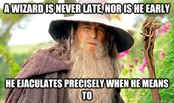 Image result for a wizard is never late meme