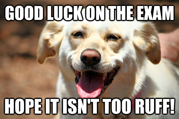 A photograph of a happy dog with the caption, "Good luck on the exam, hope it isn't too ruff!"