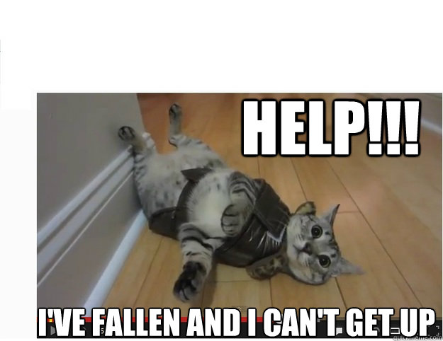 HELP!!! IVE FALLEN AND I CANT GET UP - HELP!!! IVE FALLEN AND I CANT GET UP  Nylah Kitty Ive Fallen and cant get up