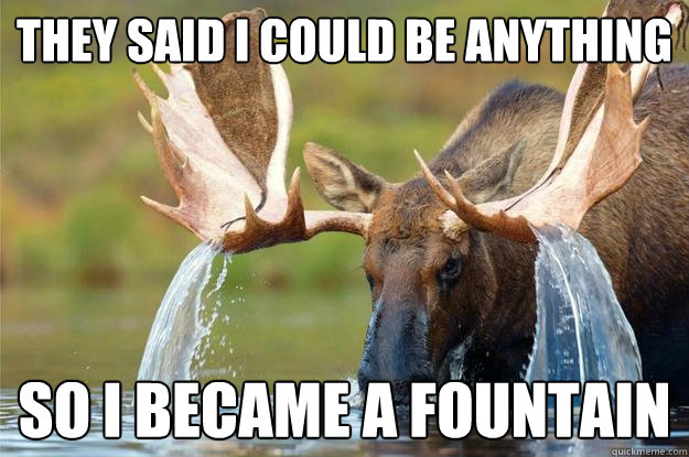 Image result for moose meme