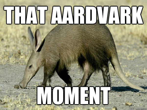 Image result for aardvark meme
