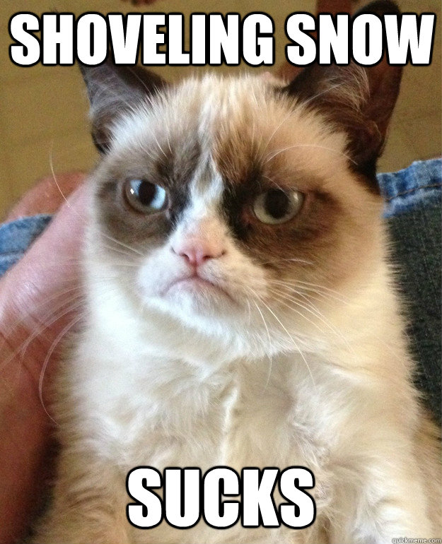 shoveling snow sucks - shoveling snow sucks  Grumpy Cat