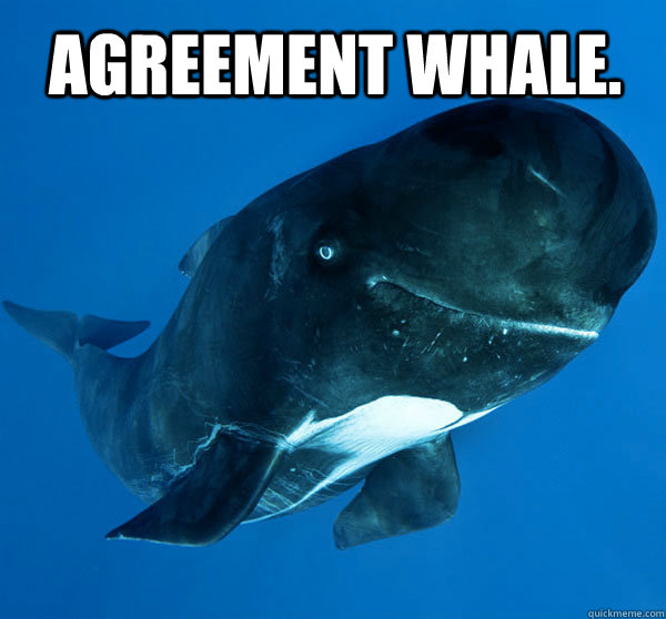 ^ Miguel Galves at his finest - agreement whale - quickmeme