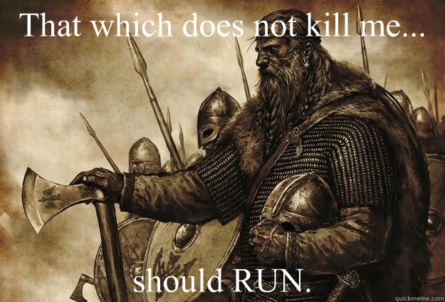 Image result for viking memes