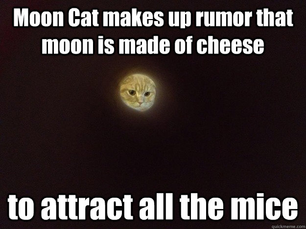 cat as moon made of cheese