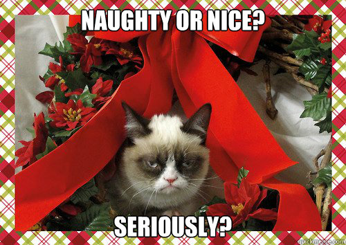 Naughty or nice? seriously? - Naughty or nice? seriously?  A Grumpy Cat Christmas