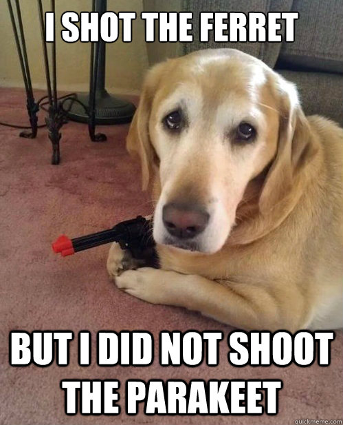 I shot the ferret But I did not shoot the parakeet - I shot the ferret But I did not shoot the parakeet Confession Hound