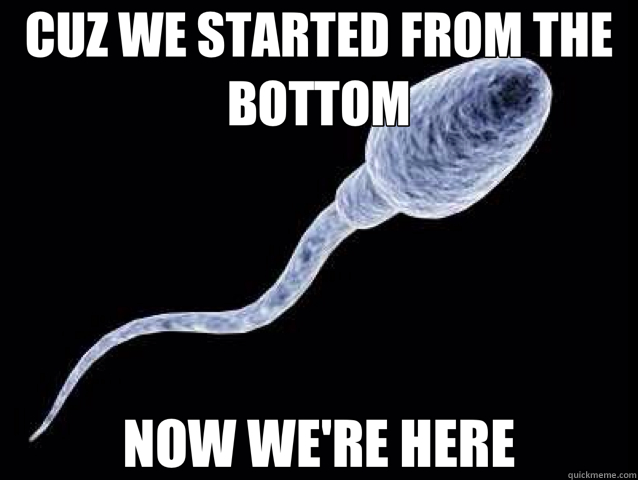 CUZ WE STARTED FROM THE BOTTOM NOW WE'RE HERE - sperm ...